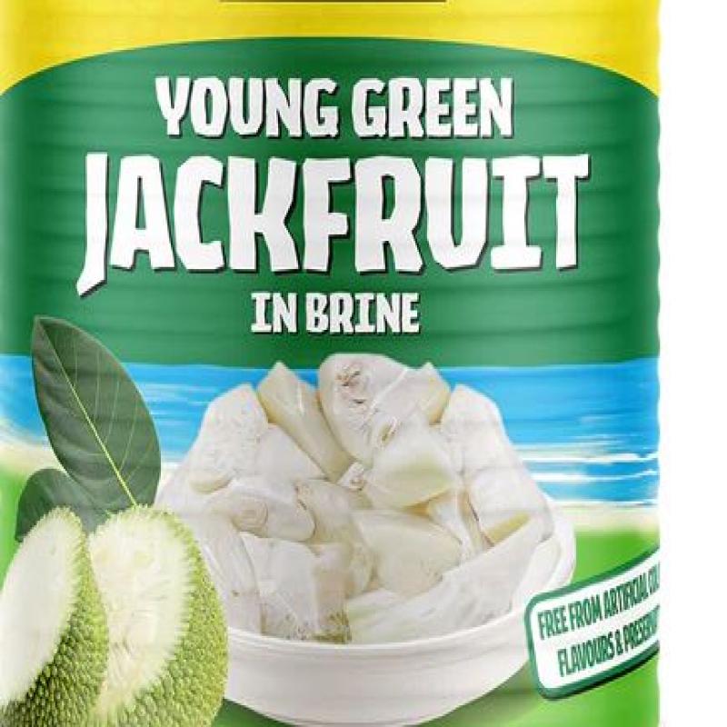 Jackfruit Tin 482 Gm - Pack of 12