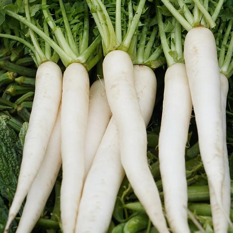 Moolie (Radish) sold per piece