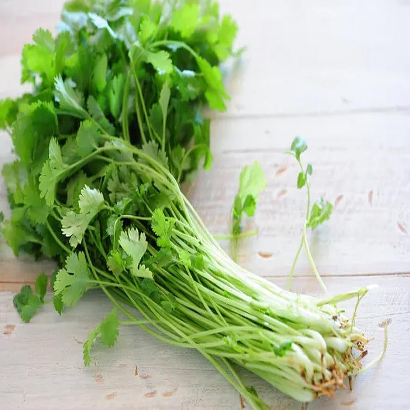 Coriander Leaves - Box