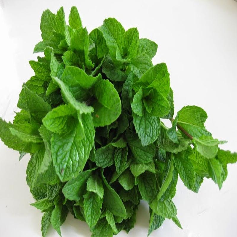 Mint Leaves  (Nature's cooling Herb) - Box