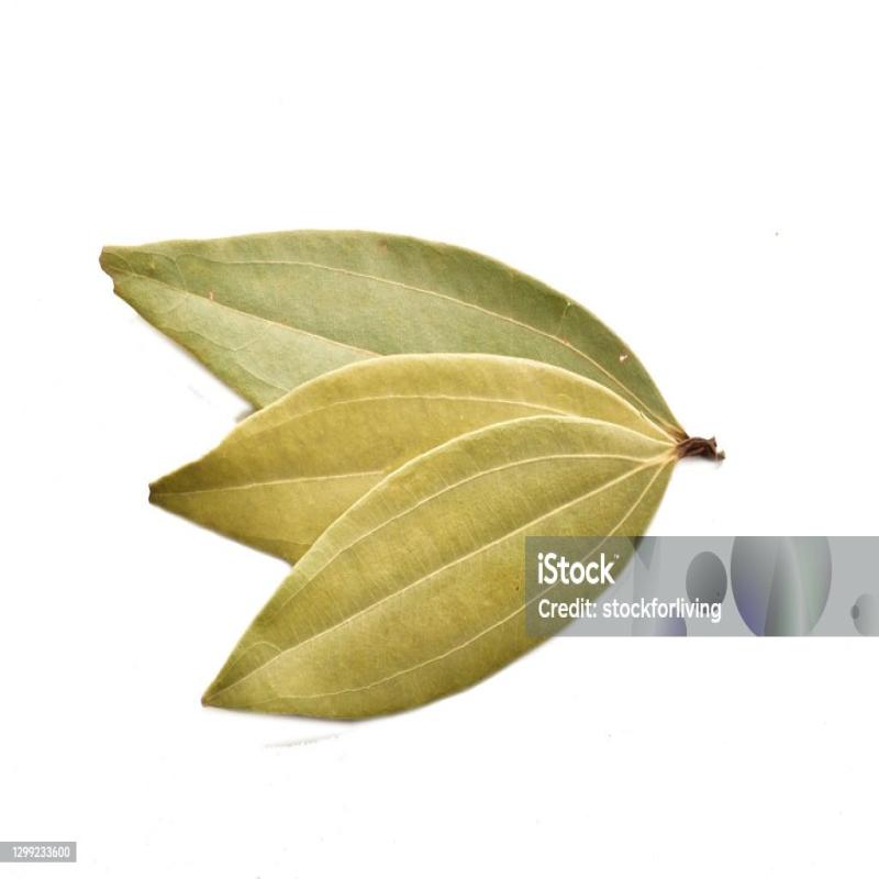 Bay Leaves Pack size - 20 x 20 gm