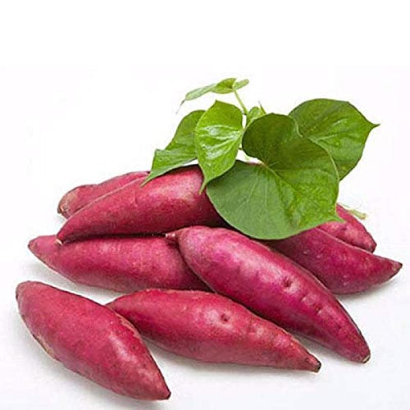 Sweet Potato (10 Kg  Pack)