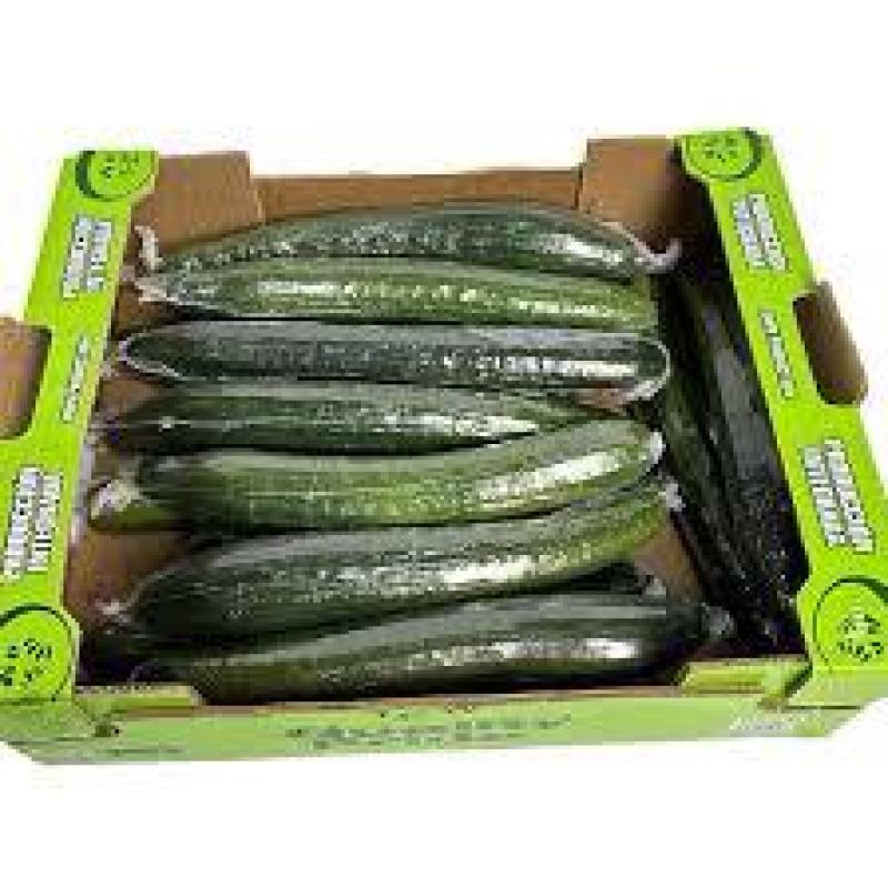 Cucumber Box 28 - 30 pc.