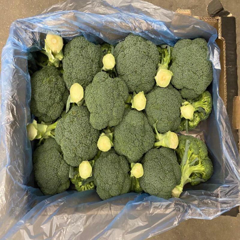 Broccoli Box