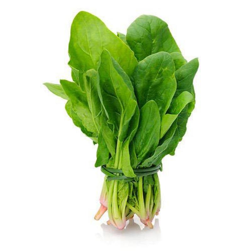 Fresh Spinach Leaves - 20 Bunches in Box